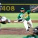 Pericos regresa a casa para enfrentar a Olmecas