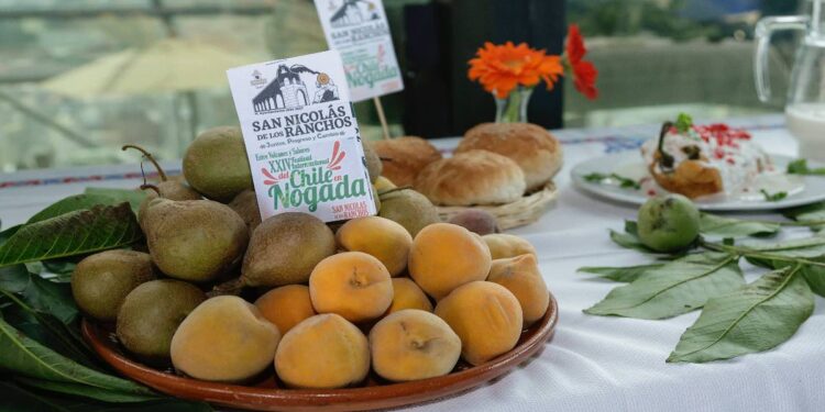 Por frío, bajará 30% producción de durazno
