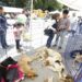 Regularán venta de mascotas en Puebla