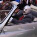 Última función del Hijo del Santo