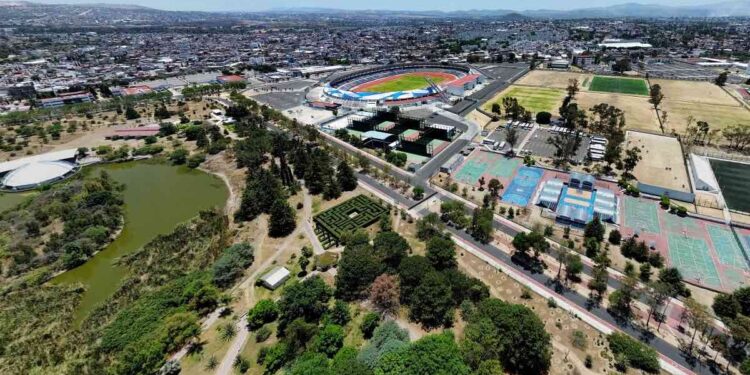 Protege Jardín Botánico BUAP más de mil 355 especies