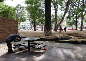 Proyectan intervención de Paseo Bravo en septiembre