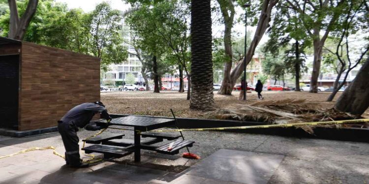 Proyectan intervención de Paseo Bravo en septiembre