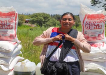 El plan Obra comunitaria será una ley