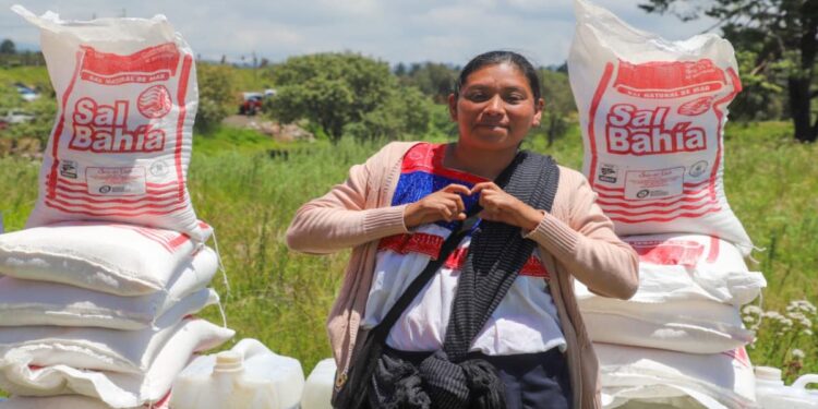 El plan Obra comunitaria será una ley