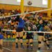 Buscan dos franquicias: voleibol y basquetbol