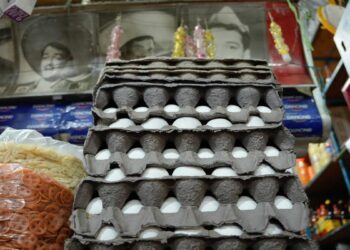 Producción de huevo: 15 millones al día