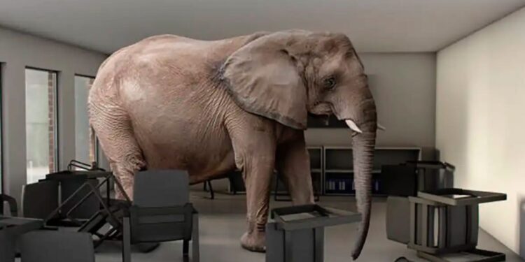 INTELIGENCIA Y ESPIONAJE: EL ELEFANTE EN MEDIO DE LA SALA 