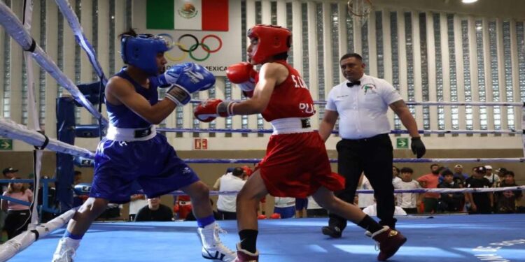 Triunfa boxeo en Festival Olímpico