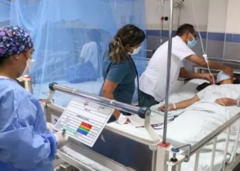 Última semana, 272 casos confirmados de dengue