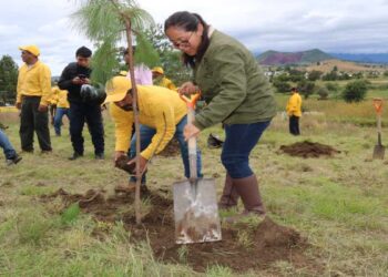 Gobierno estatal restaura mil 600 hectáreas forestales