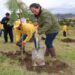 Gobierno estatal restaura mil 600 hectáreas forestales