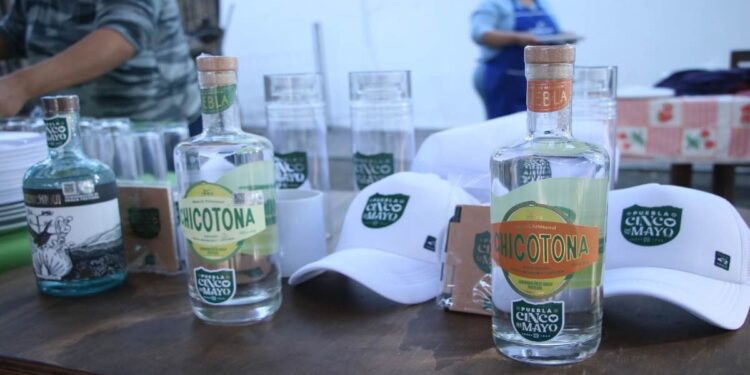 Mezcal Chicotona llegará a Nueva York