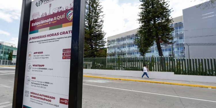 Retiran diez casetas de polígono San Alejandro
