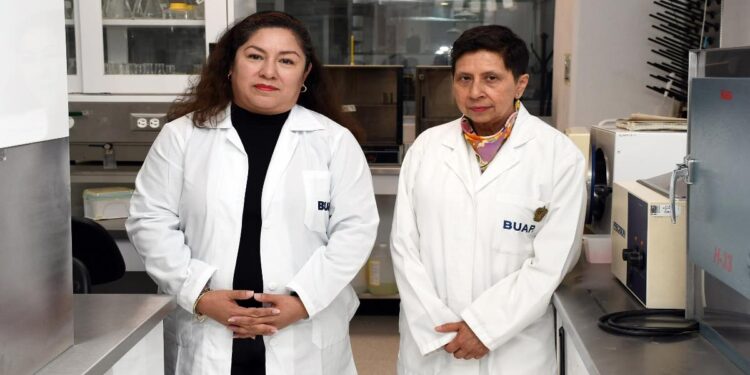 Proponen uso de esteroides para tratar patologías