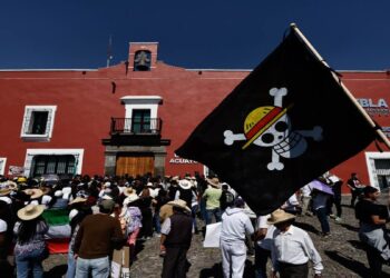 Acusan a PAN de organizar marcha