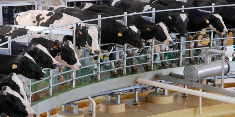 En Puebla, pasteurizadora del Bienestar