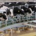 En Puebla, pasteurizadora del Bienestar
