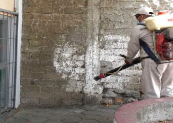 Disminuyen casos de dengue: de 2 mil 701 en 2024 a 241