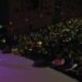 En foro, universitarias analizan riesgos digitales