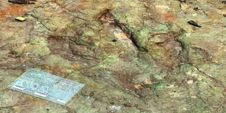 Lluvias exponen huellas de dinosaurios en Tehuacán
