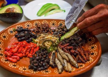 Desarrollan alimentos con insectos comestibles