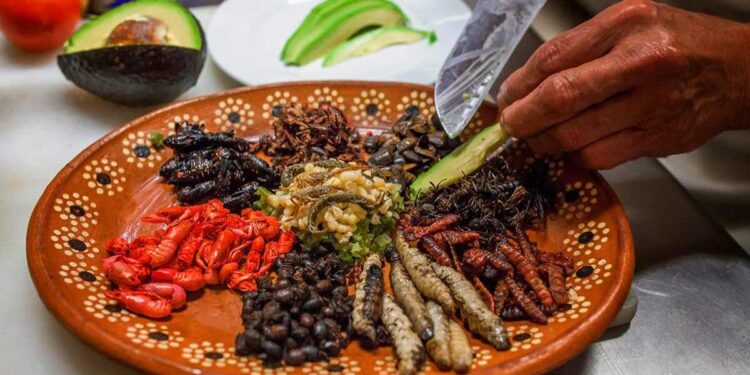 Desarrollan alimentos con insectos comestibles