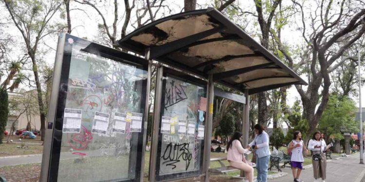 Paraderos sí serán rehabilitados