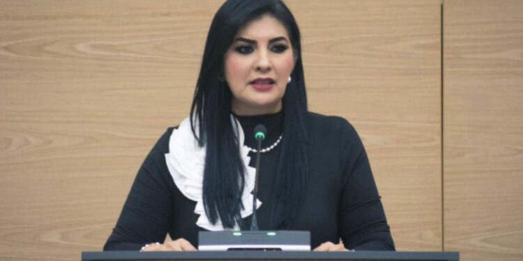 Congreso de Puebla: Pozos, en recuperación de COVID-19