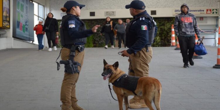 Equipo K9 reforzó operativos de seguridad pública