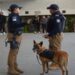 Equipo K9 reforzó operativos de seguridad pública