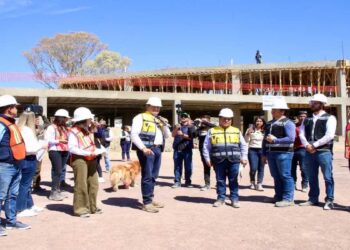Obra de Célula de Bienestar Animal avanza en 38 %