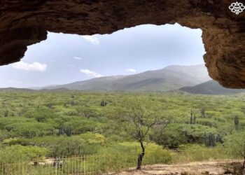 Apareció maíz en Tehuacán hace 5 mil 400 años