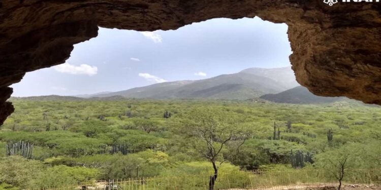 Apareció maíz en Tehuacán hace 5 mil 400 años