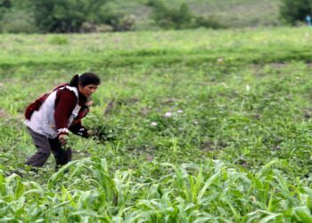Poblanas enfrentan empleo precario y mal remunerado