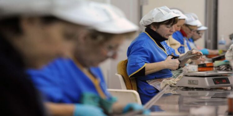 Licencia laboral con sueldo, para víctimas de violencia