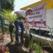 Puebla capital proyecta sembrar 100 mil árboles