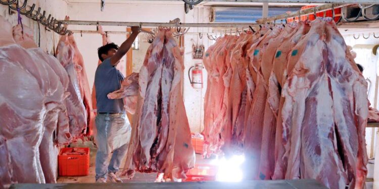 Porcicultores blindan granjas con alertas
