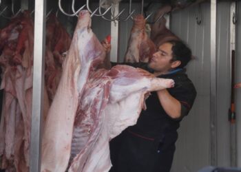 Rastro busca recuperar certificación