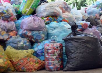 Tapatón 2026 llegará a Galería Las Ánimas