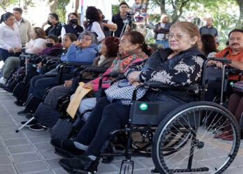 Sube solicitud de aparatos ortopédicos