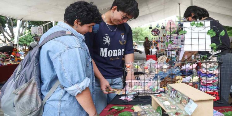 Aumentan créditos para microempresarios