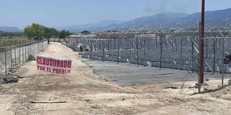 EL CASO AZUMBILLA: CUANDO LA POLÍTICA JUEGA CON FUEGO
