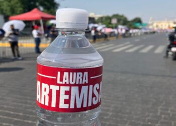 Acción Nacional denunciará propaganda adelantada