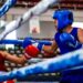 Selección local busca oro en boxeo Conade
