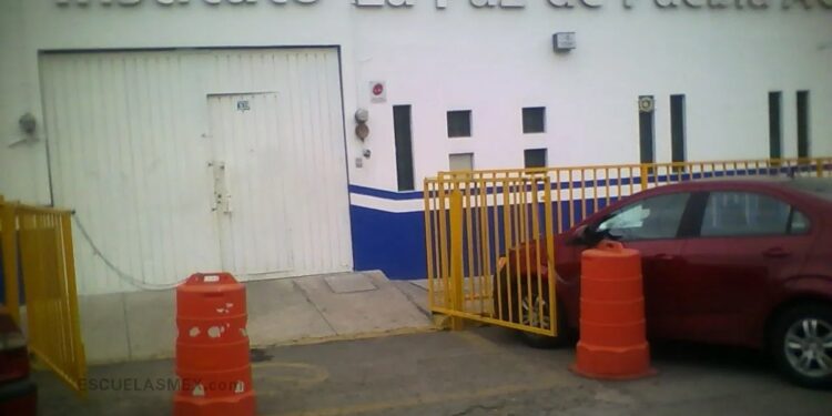 Denuncian tortura a conejo en Instituto La Paz