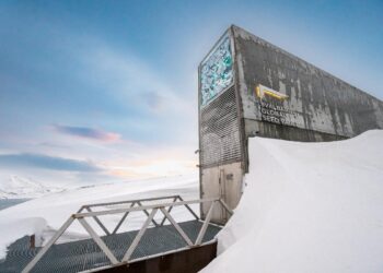 Svalbard, el último respaldo de la agricultura mundial