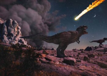 La extinción que dio origen a los océanos modernos