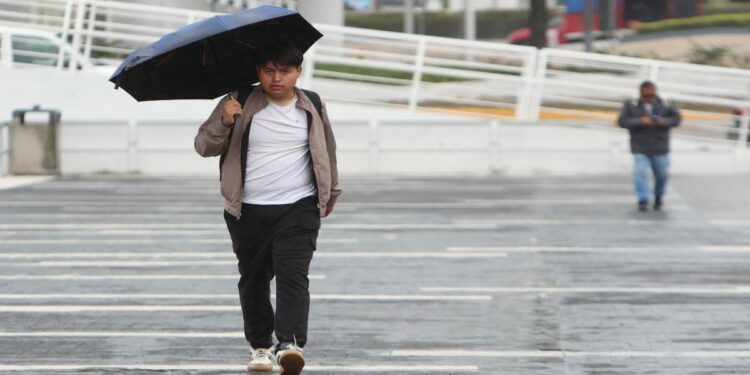 Atienden daños por lluvias en 15 municipios