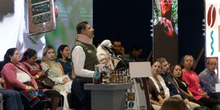 Presentan segundo lote del café Cinco de Mayo